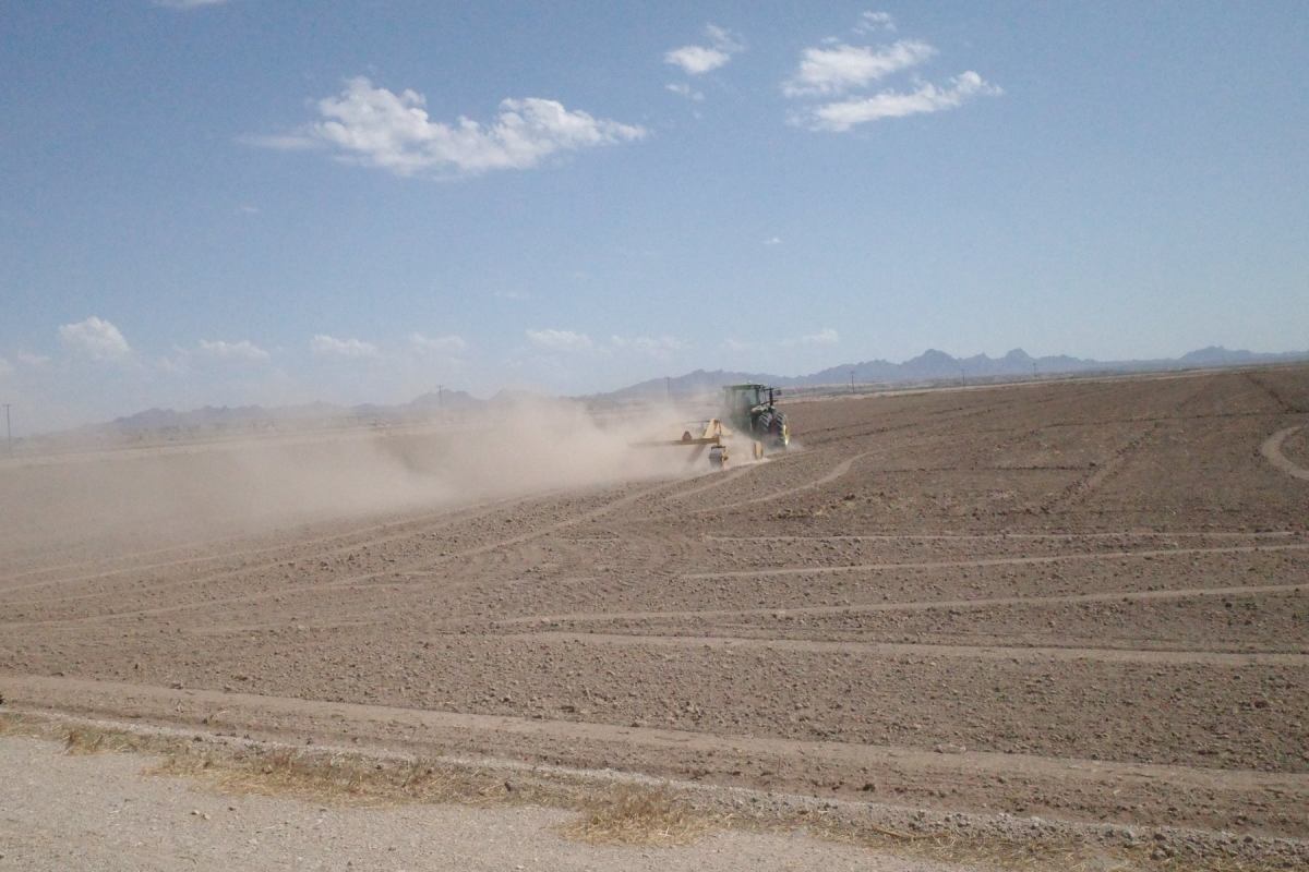 Climate Breadcrumb: Blythe&nbsp;CA